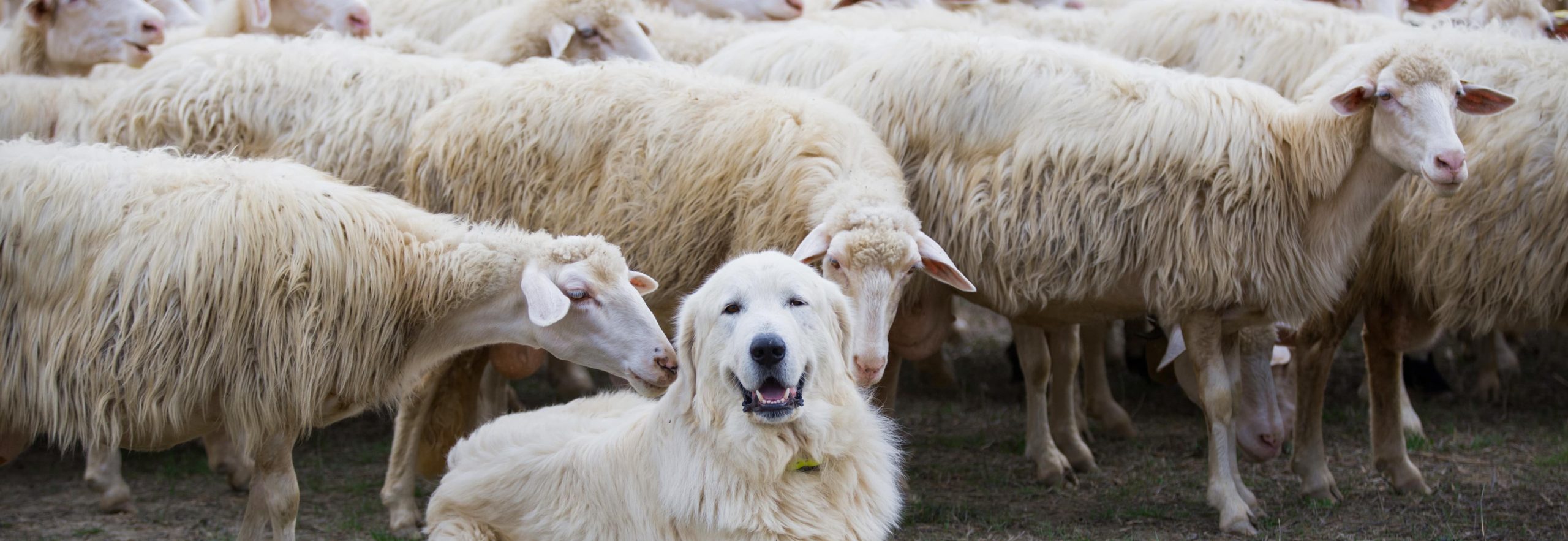 Schedule Time for Your “Restorative Niche 12