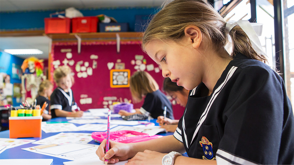 CRITICAL EVALUATIONS TO MAKE WHEN INVESTING IN A SCHOOL FRANCHISE 1